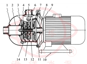 CHL卧式不锈钢多级离心泵(外筒型)结构图 